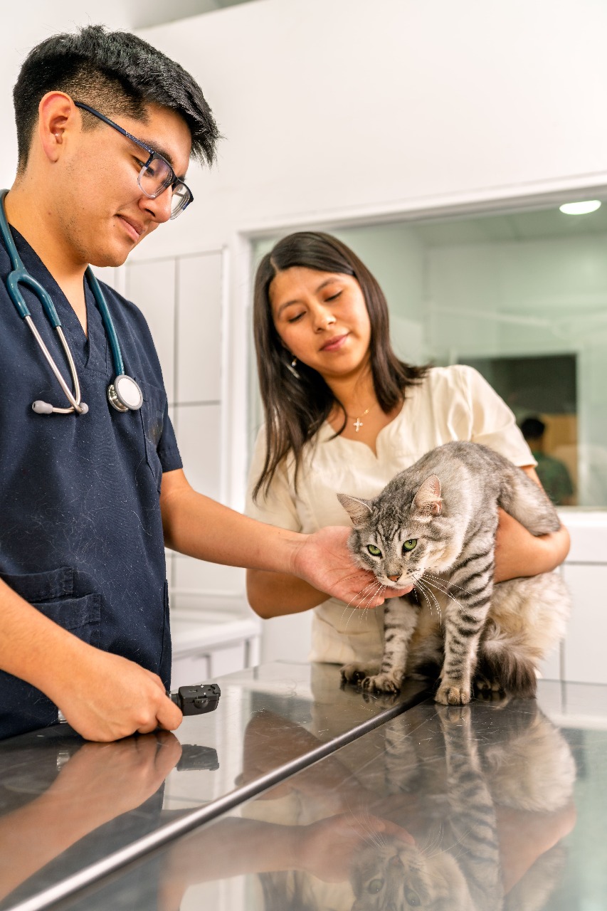 Atendimento clínico e cirúrgico